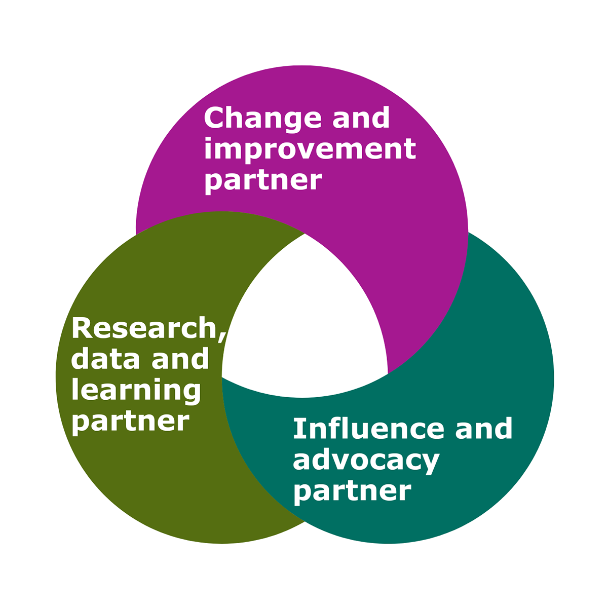 A diagram showing CELCIS's three interconnected roles of being a change and improvement partner; an influence and advocacy partner; and a research and data learning partner.