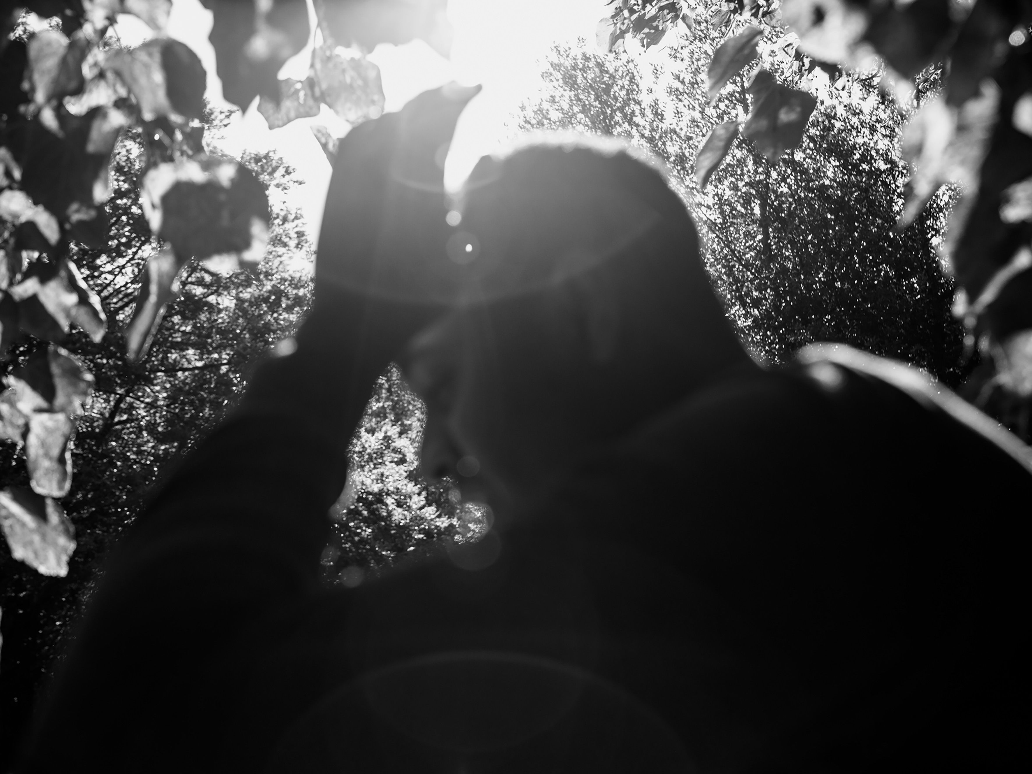 A black and white photograph showing one of the participants in the park amongst the trees